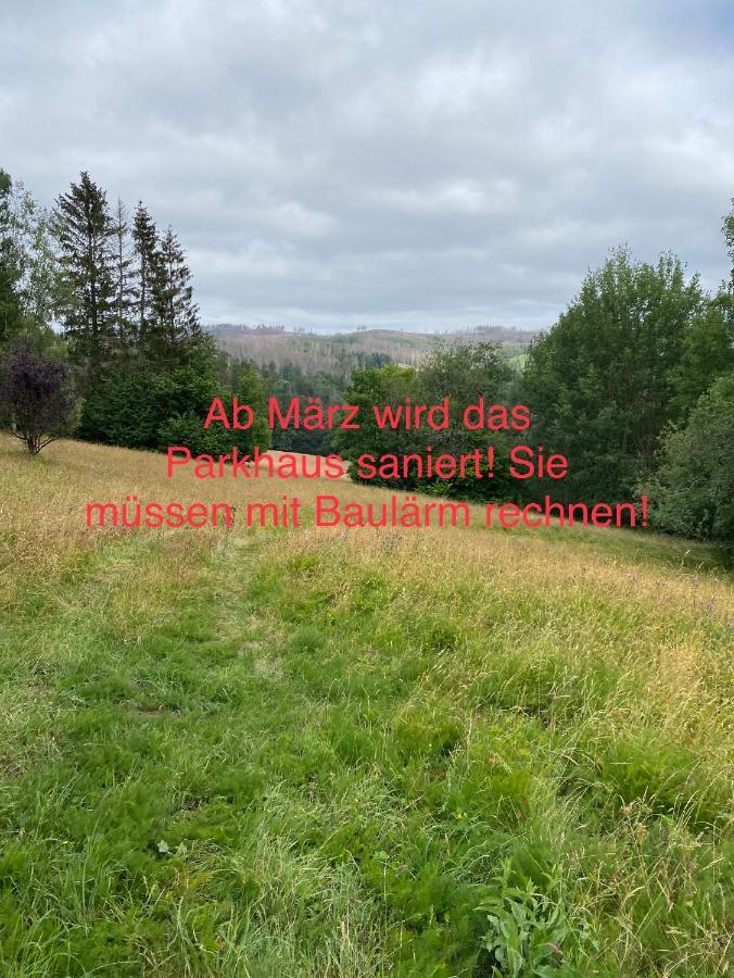 Schoenes Ruhiges App Mit Panoramablick Auf Den Harz Braunlage Exterior foto